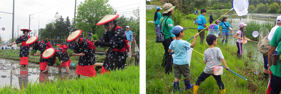 （写真左）2015年5月29日に早乙女衣装を着て田植えをしている様子。（写真右）2017年8月13日に開催した「どこどこ？」昆虫採集教室の様子。子どもも大人も夢中に。